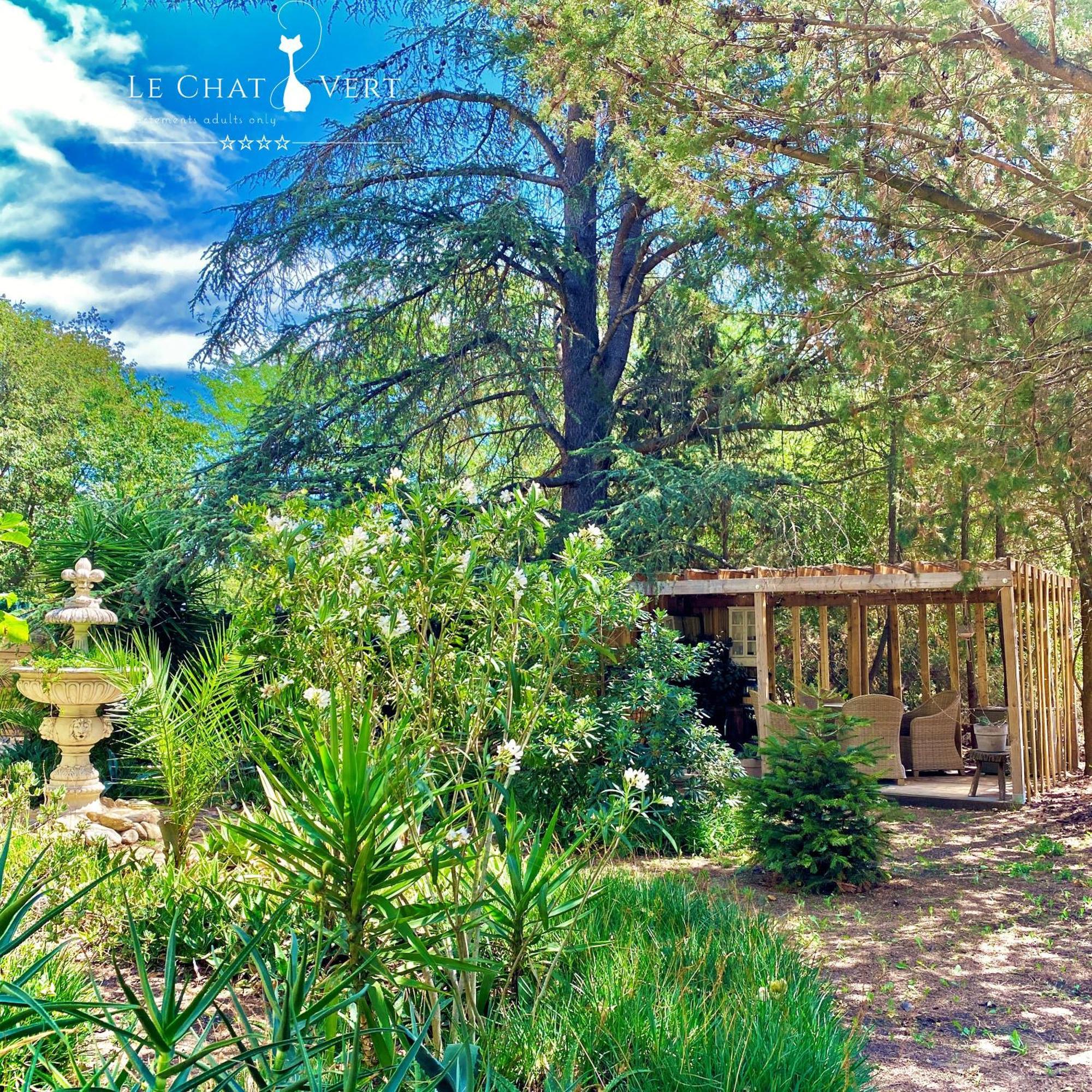 Le Chat Vert - Appartements Adults Only Saint-Andre  Экстерьер фото